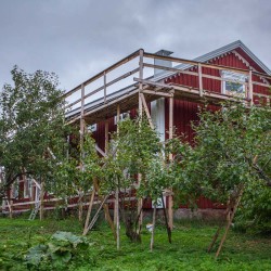 Huset och äppelträden