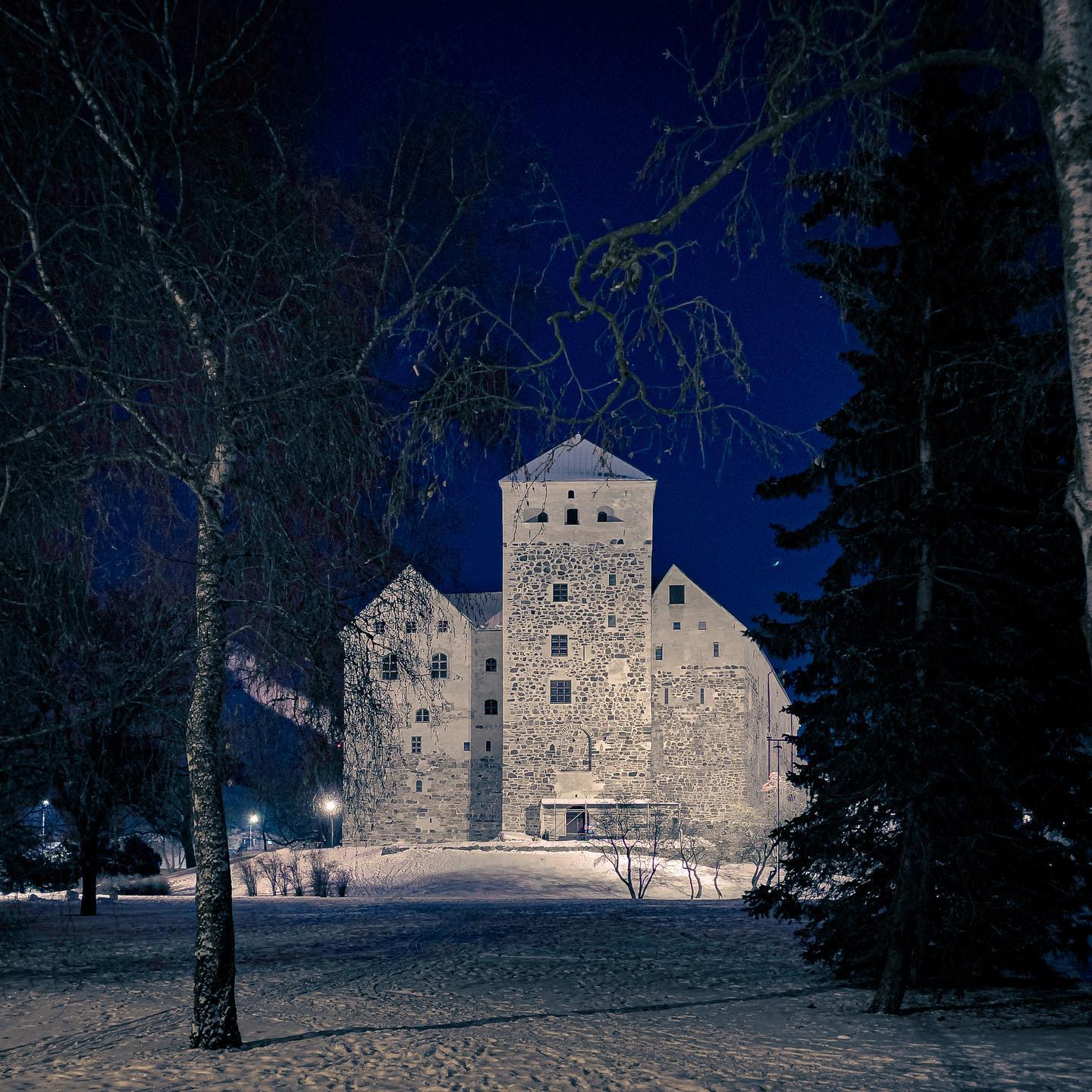 Åbo slott.
